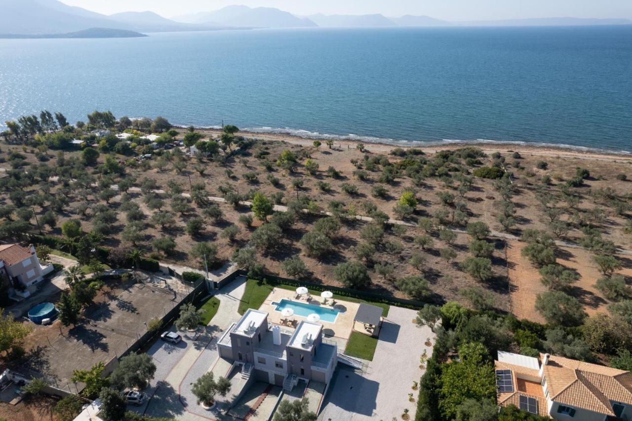 Marea Twins Villas دروسيا المظهر الخارجي الصورة